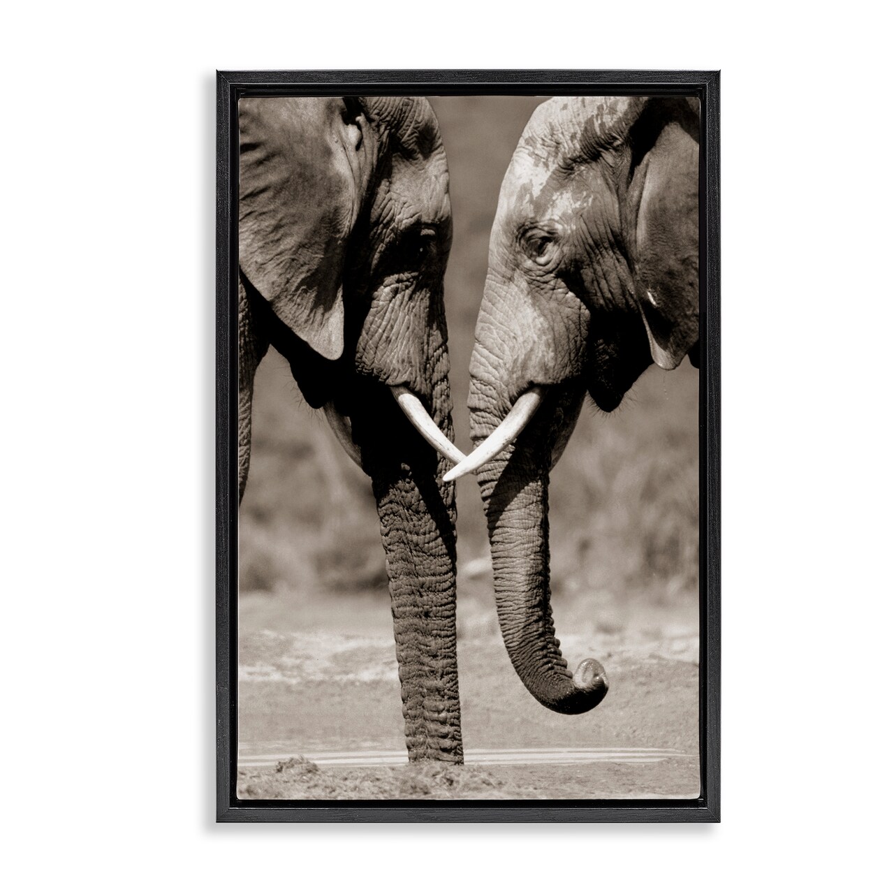 Stupell Industries Heartwarming Elephant Pair Floating Frame By Paul Souders